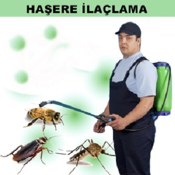 Pamukova Böcek İlaçlama